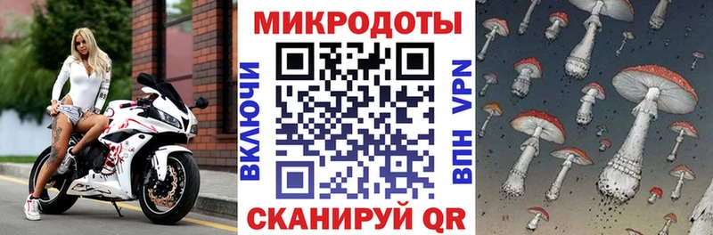 Галлюциногенные грибы мухоморы  Карталы 