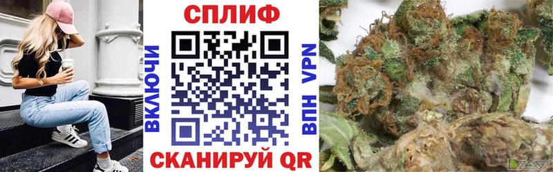 площадка состав Карталы Бошки марихуана White Widow